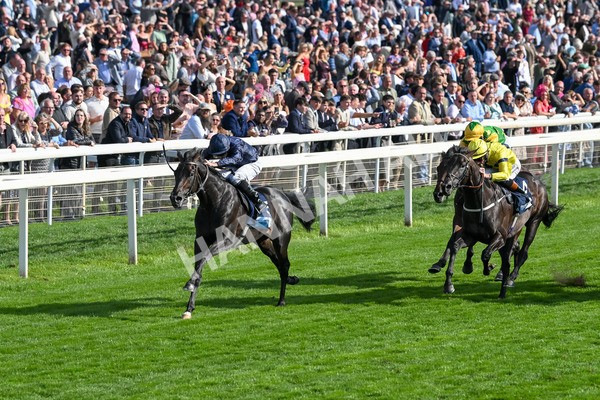 220825-Race 6-Frescobaldi-7744 - Race 6 4.45pm British Stallion Studs EBF Convivial Maiden Stakes