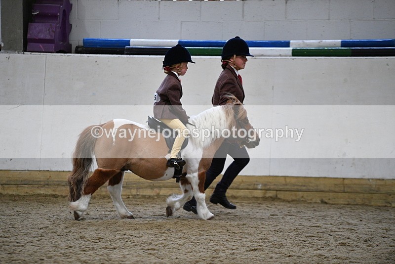 WJ5_6763 - Class 10 Childs Pony