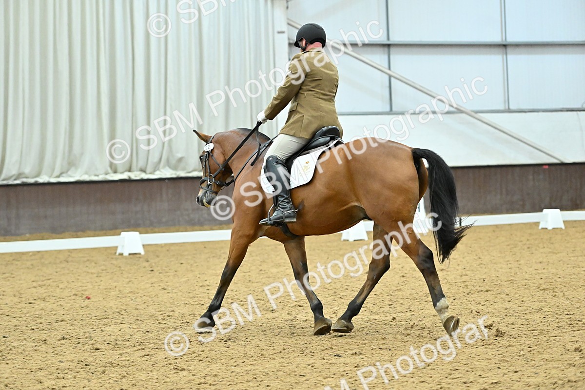 SBM_007434 - Class 81 - Novice 3