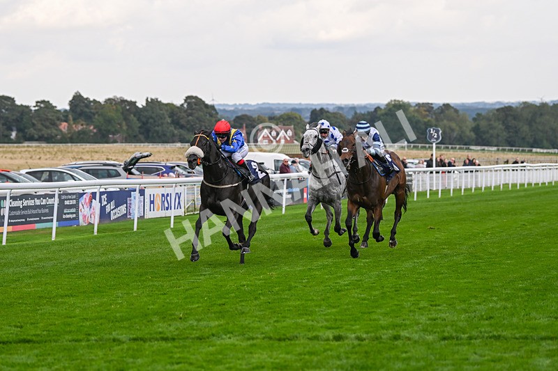 240924-Race 4-Tees Spirit-6237 - Race 4