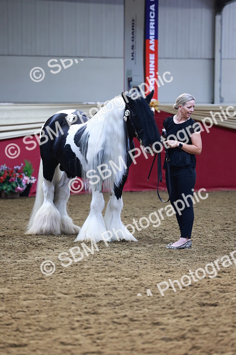 SBM_22334 - Class 902 - Supreme Final - IH Diamond