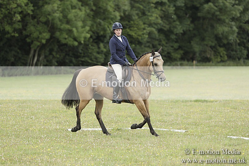 BVR160717-1427 - Class 3 Dressage 16/07/17