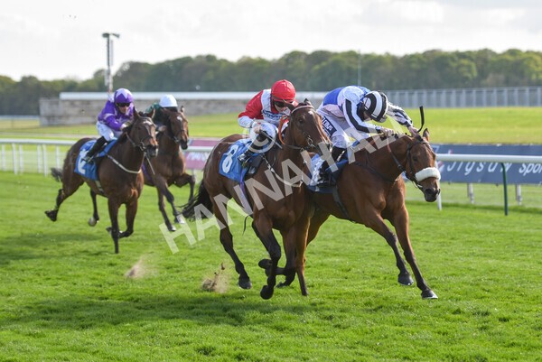 yr13052021r7-33 - Race 7 4.50pm Autohorn Stakes