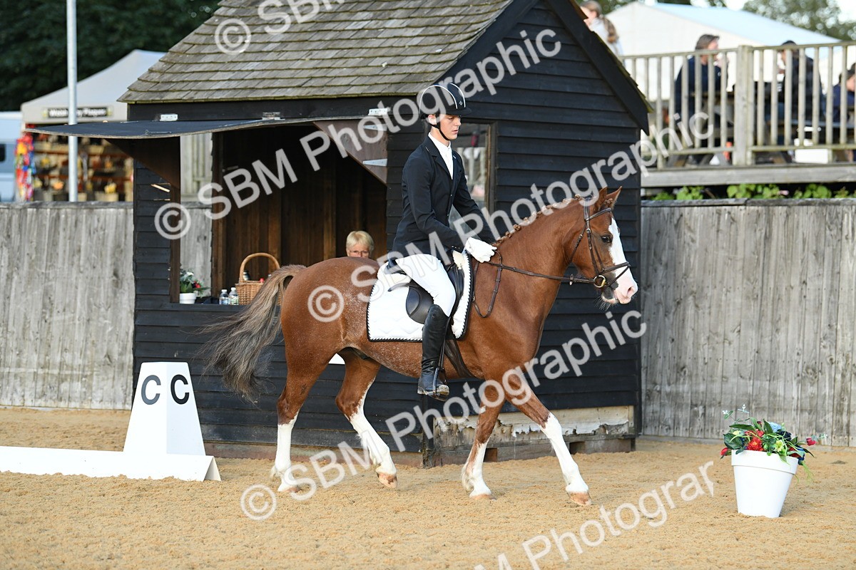 SBM_30967 - D16 - Small Tour Championship - Novice 28