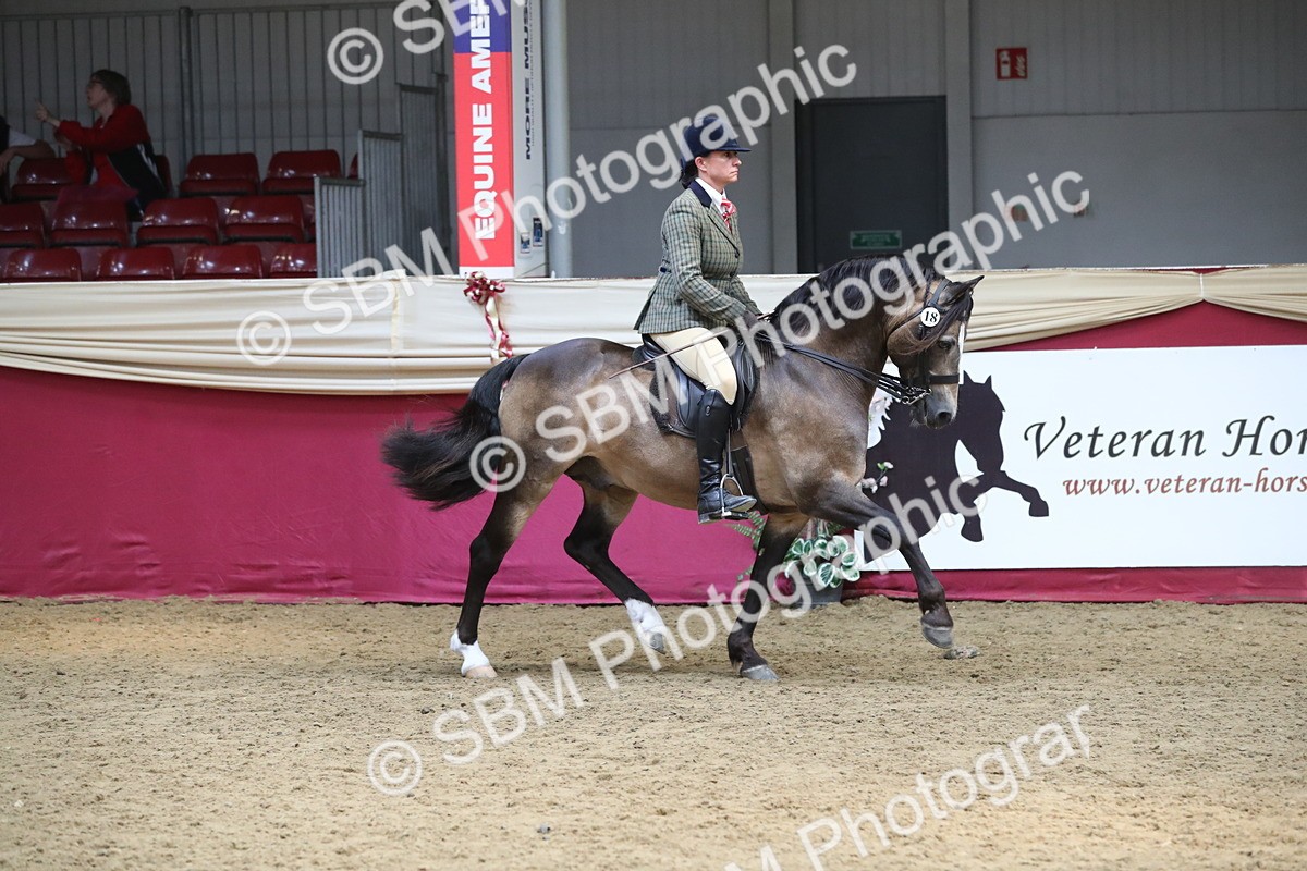 SBM_16263 - Class 502 M&M Ridden Supreme Final