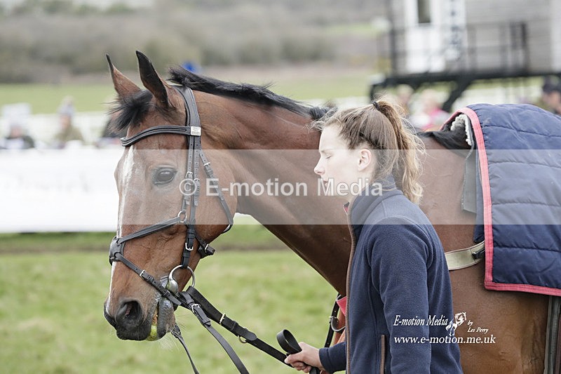PtP 260323 0541 - New Forest Hounds Point-to-Point Larkhill 26/03/23