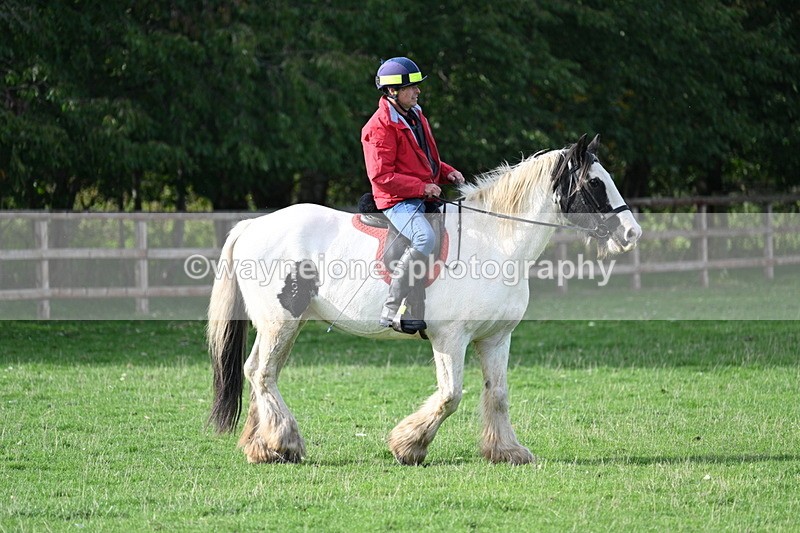 WJ7_1085 - Time 14:27 to 15:11