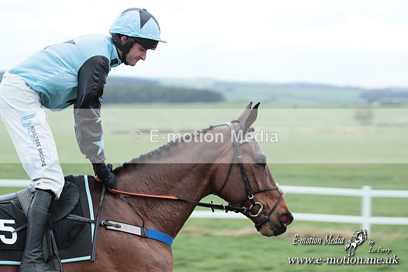 PtP 230324 471 - Tedworth Hunt PtP Larkhill Raccourse 23rd March 2024