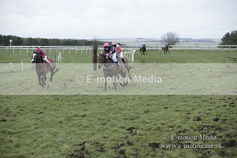 PtP 150320 0865 - New Forest Point-to-Point Larkhill 15/03/20