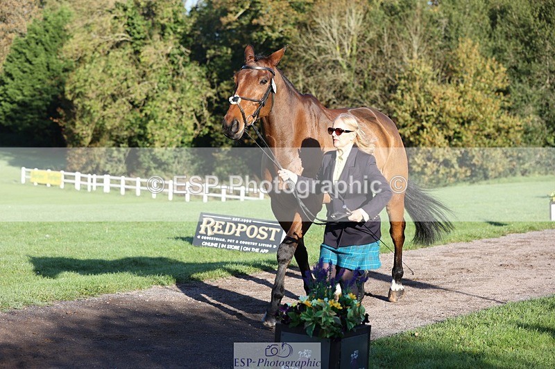 241027-085852-14939 - 369-Carolyn.Price-I.WISH.ANDY