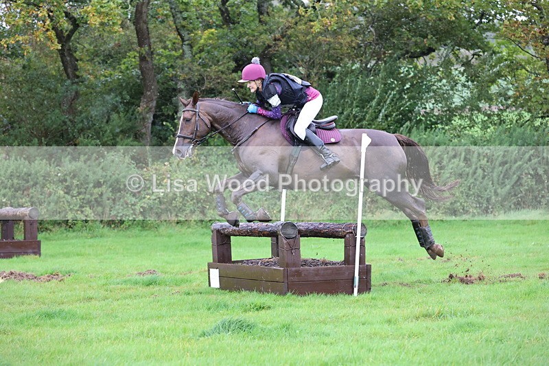 JPP_5447 - Class 4: 80cm: Crossed Logs