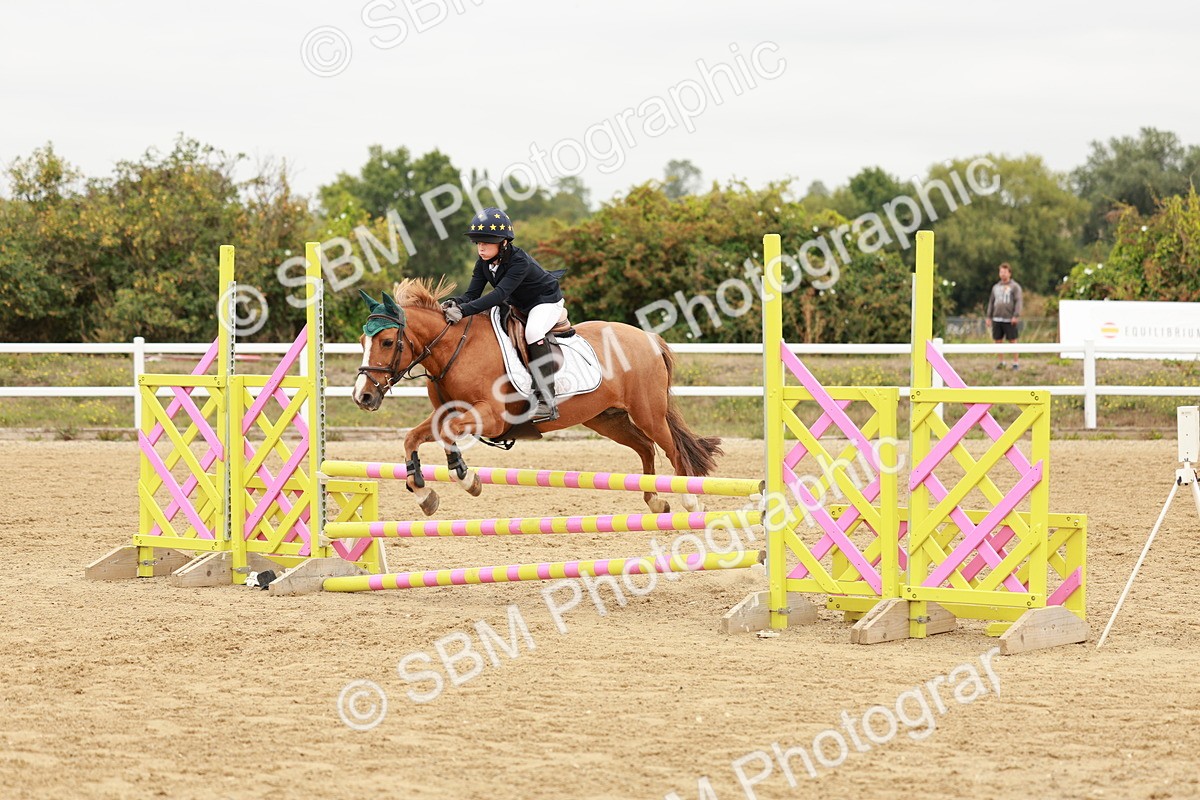 SBM_008273 - Class 5 - 80cm