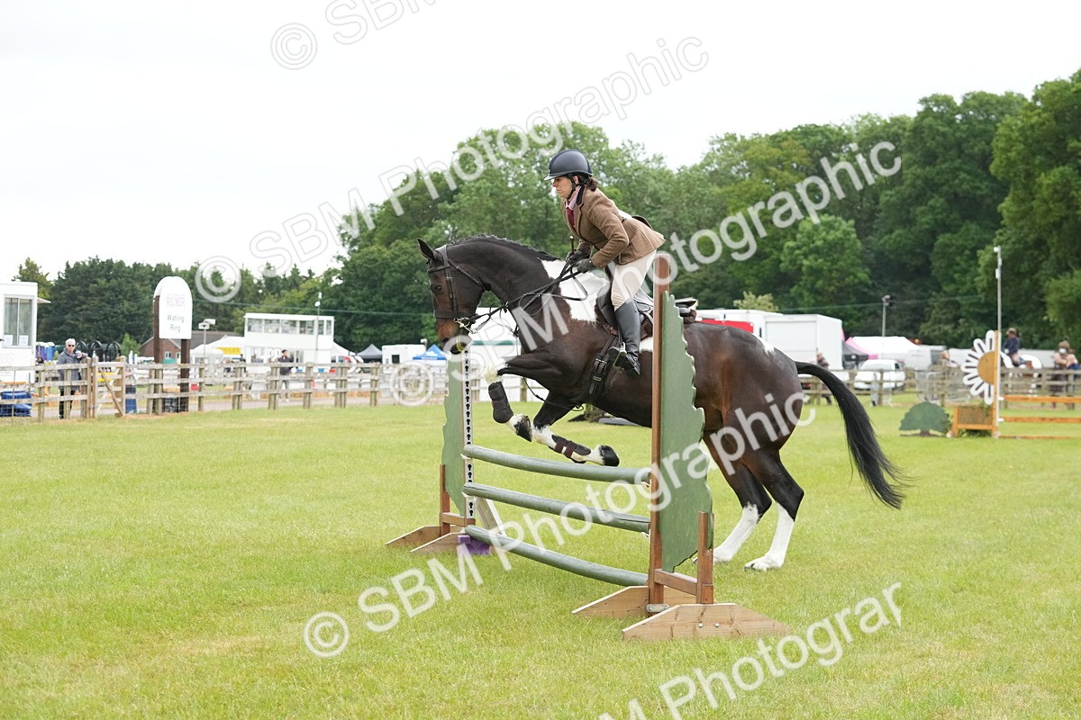 SBM_12556 - Class 97-98 - LIHS BSHA Rising Star Working Show Horse Hunter