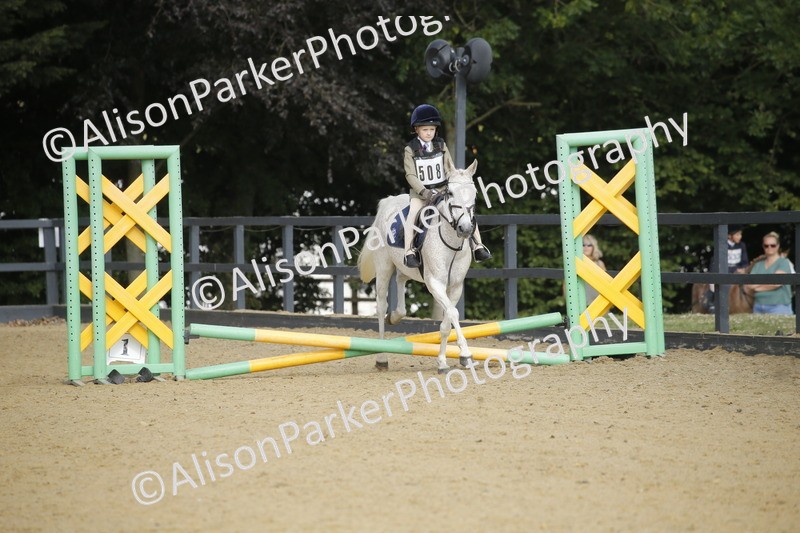 20250622-1225 - 40cm