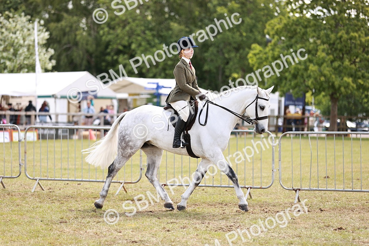 SBM_14508 - Class 88-89 - LIHS BSHA Rising Star of Ridden Hunter Type