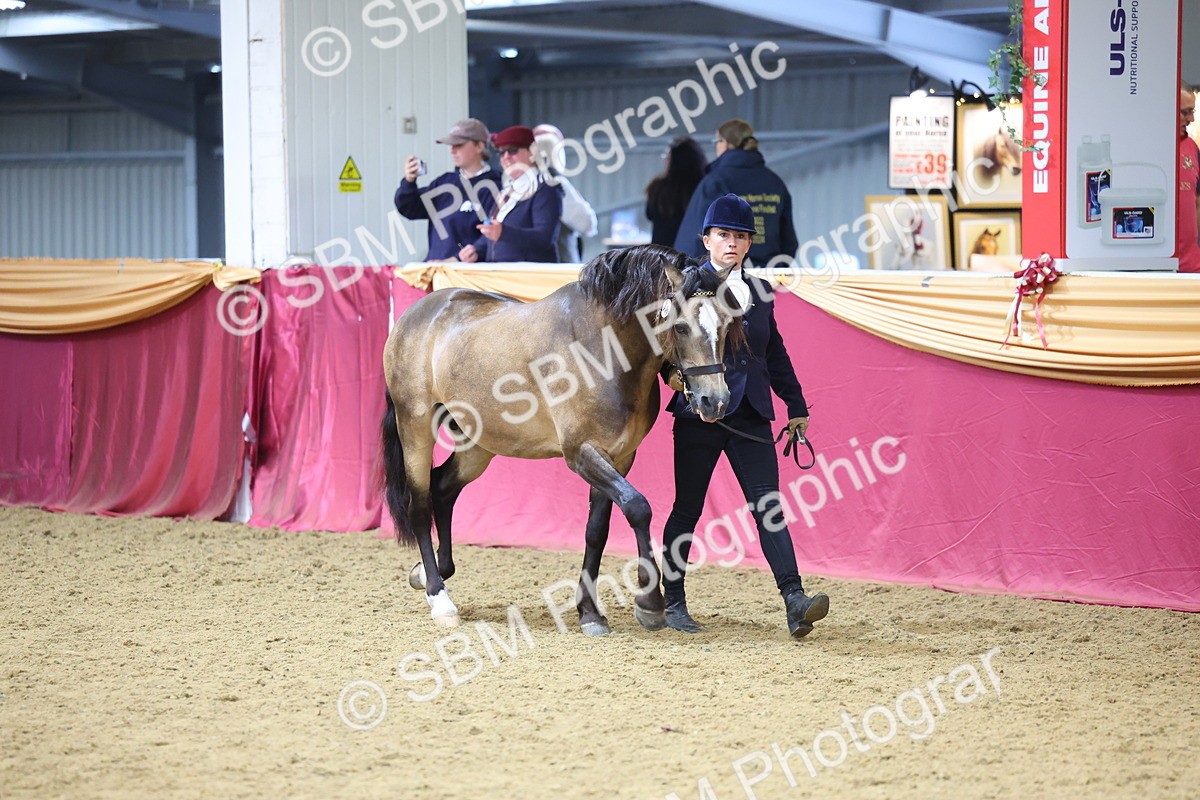 SBM_23211 - Supreme Final - IH Champion