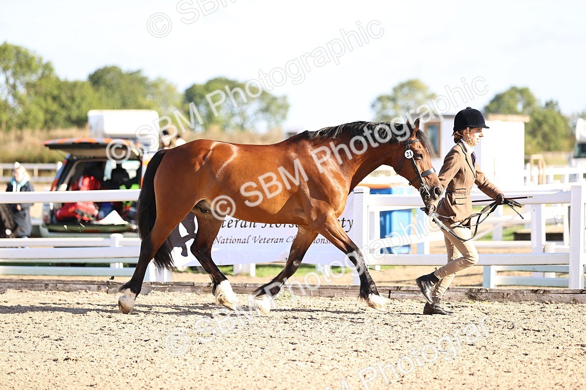 SBM_08416 - Class 402 - IH Veteran Pony