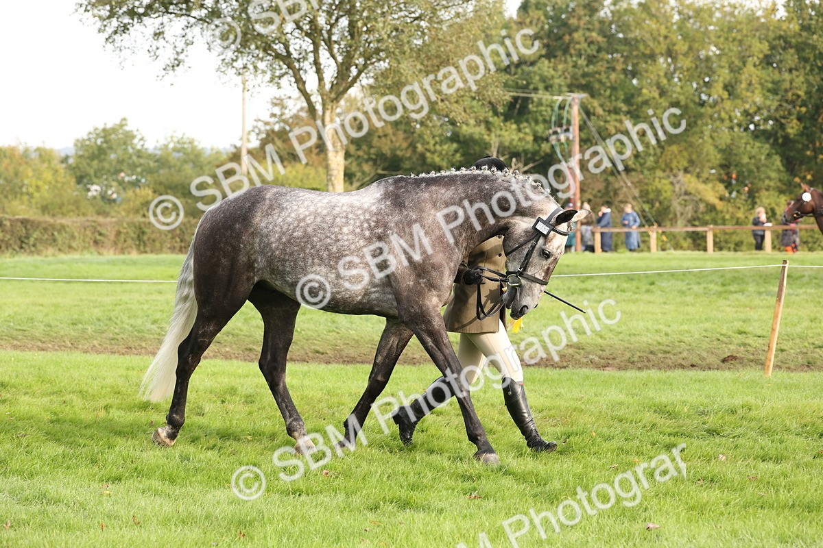SBM_54726 - S53 - Hunter In Hand