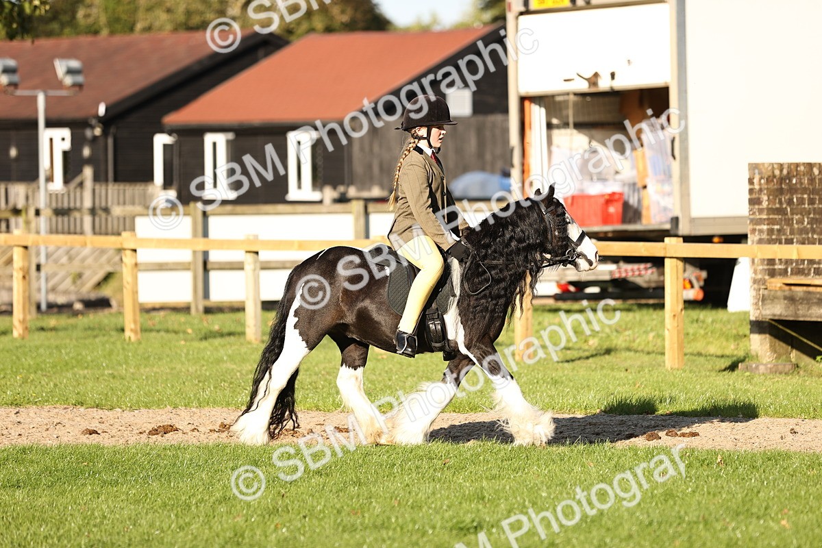 SBM_29426 - S7 - Novice & Newcomers Ridden Pony