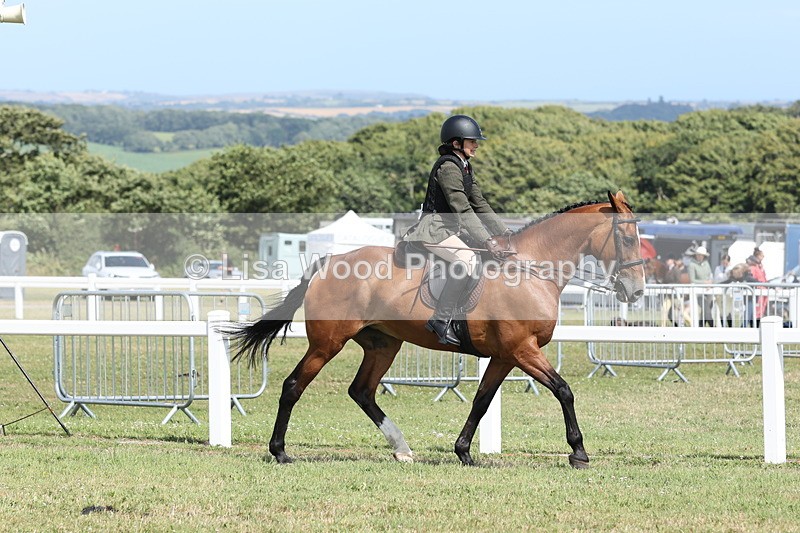 JPP_2274 - Class 19: Working Hunter 60cm