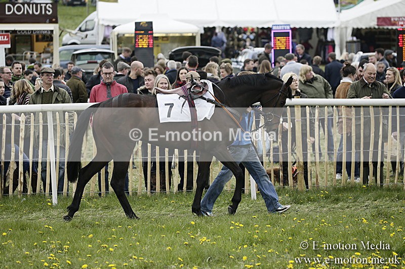 PtP 170417 487 - Old Berks Point-to-Point Lockinge 17/04/17