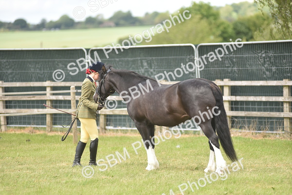 SBM_16025 - Class 117-122 - SSADL RIHS Qualifier