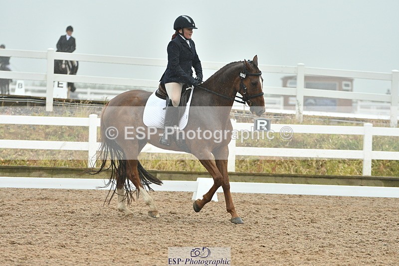 230708A-151015-03004 - Elementary 43