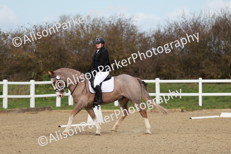 20260314-2757 - DR3 - Prelim 1