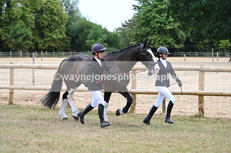 WJ7_8933 - Class 4a Prettiest Mare 14.2hh and over