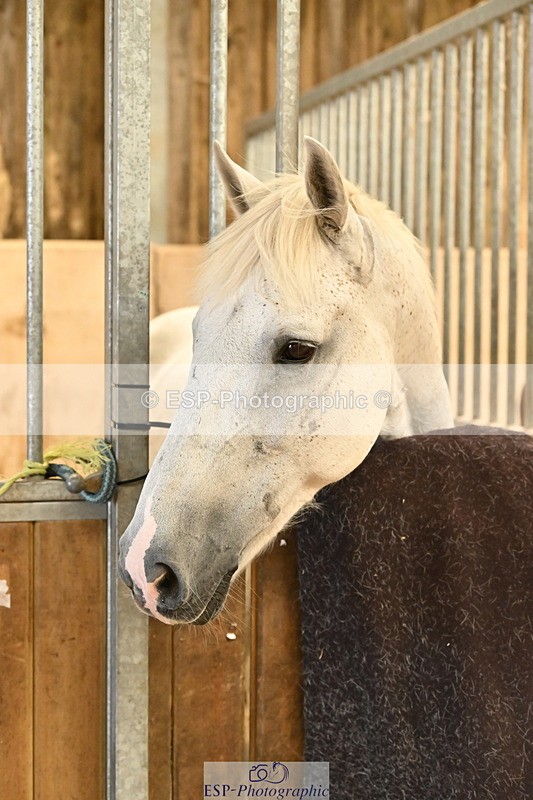 250821B-141243-00495 - Stable Shots and Group Photo