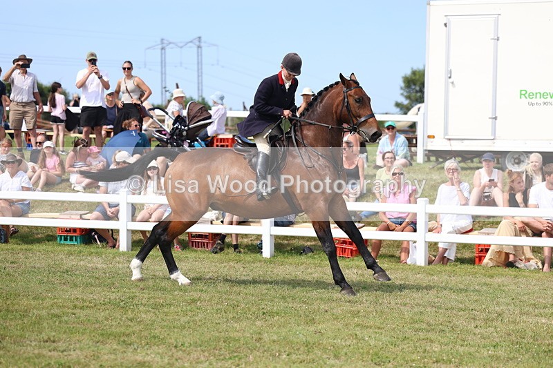 3E7A0171 - Parade of Hounds