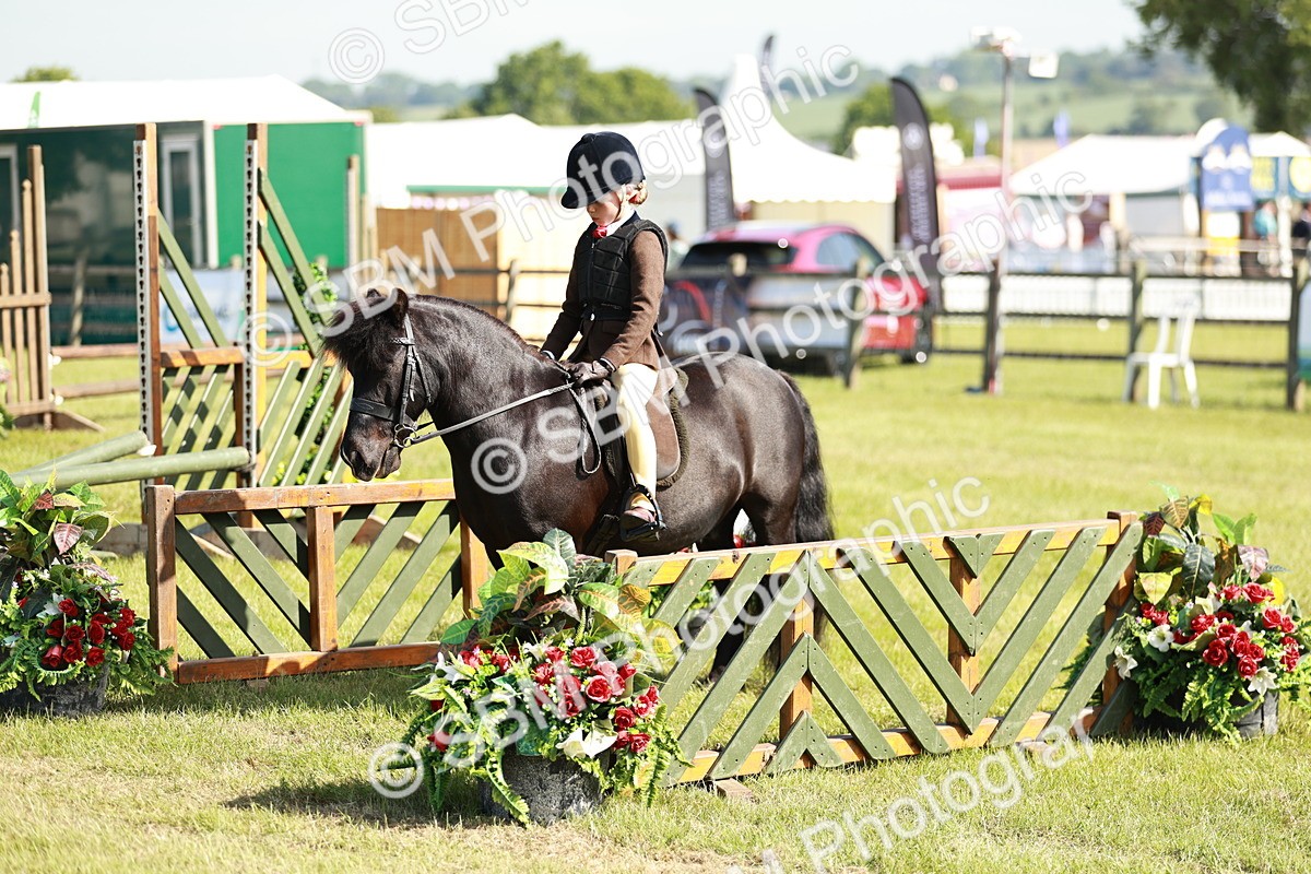 SBM_12595 - Class 106-107 - BSPS LIHS Working Sports Pony