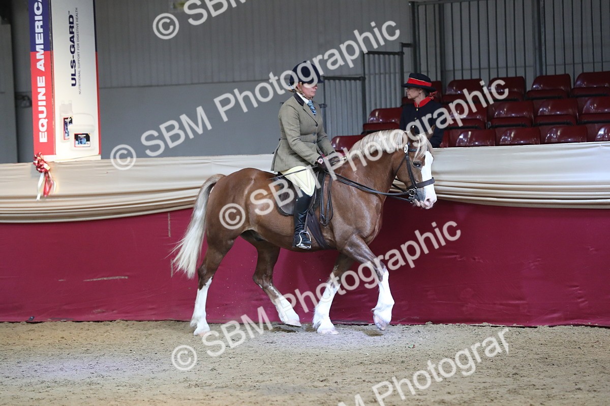SBM_08286 - Class 11R Regional Ridden Veteran