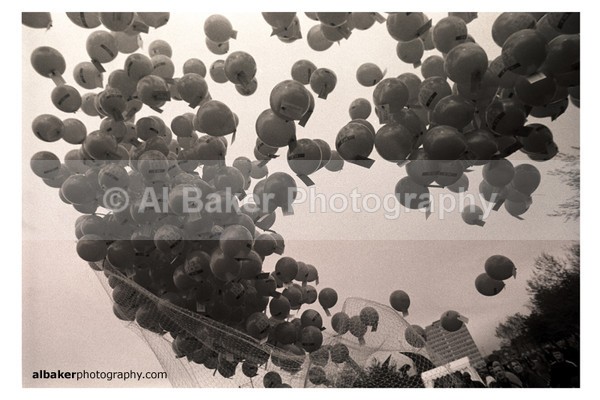 843 - Hulme Gallery (d)