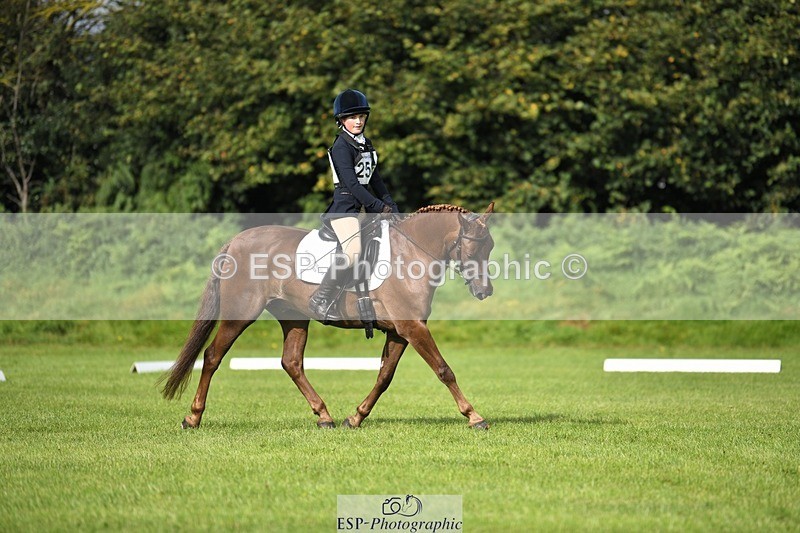 230826-094328-15210 - Sections C & D 9 to 10am