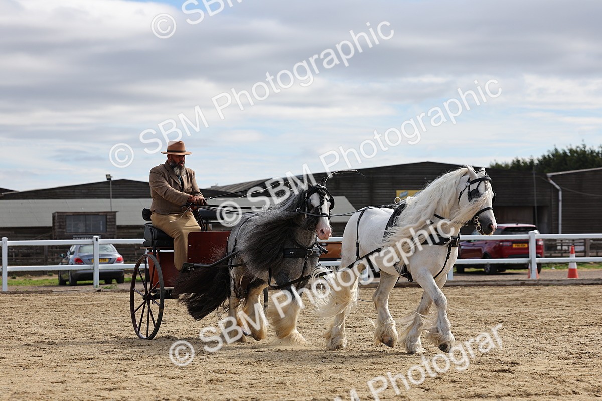 SBM_001224 - Class 16 - Pairs ,Multiples and Tandems