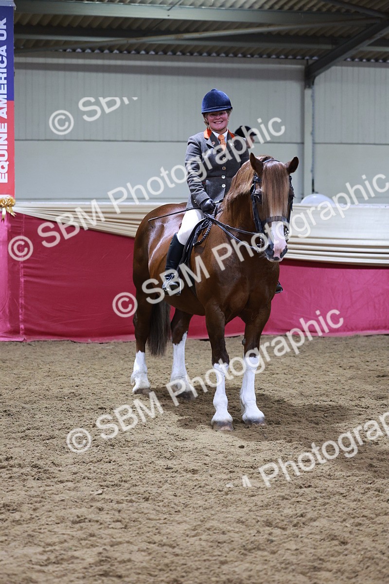 SBM_18865 - Class 952 - M&M Ridden Supreme Final