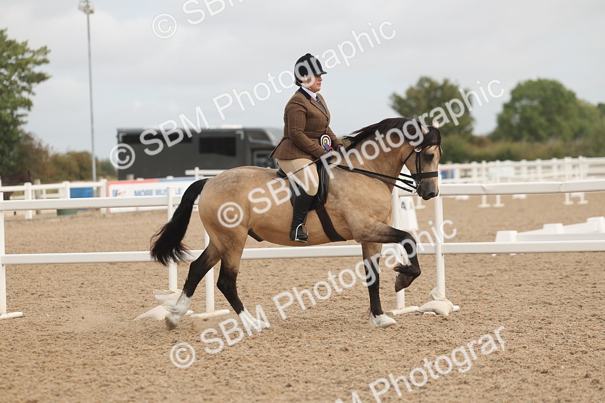 SBM_02047 - Class 14 - Ridden M&M Wildcard