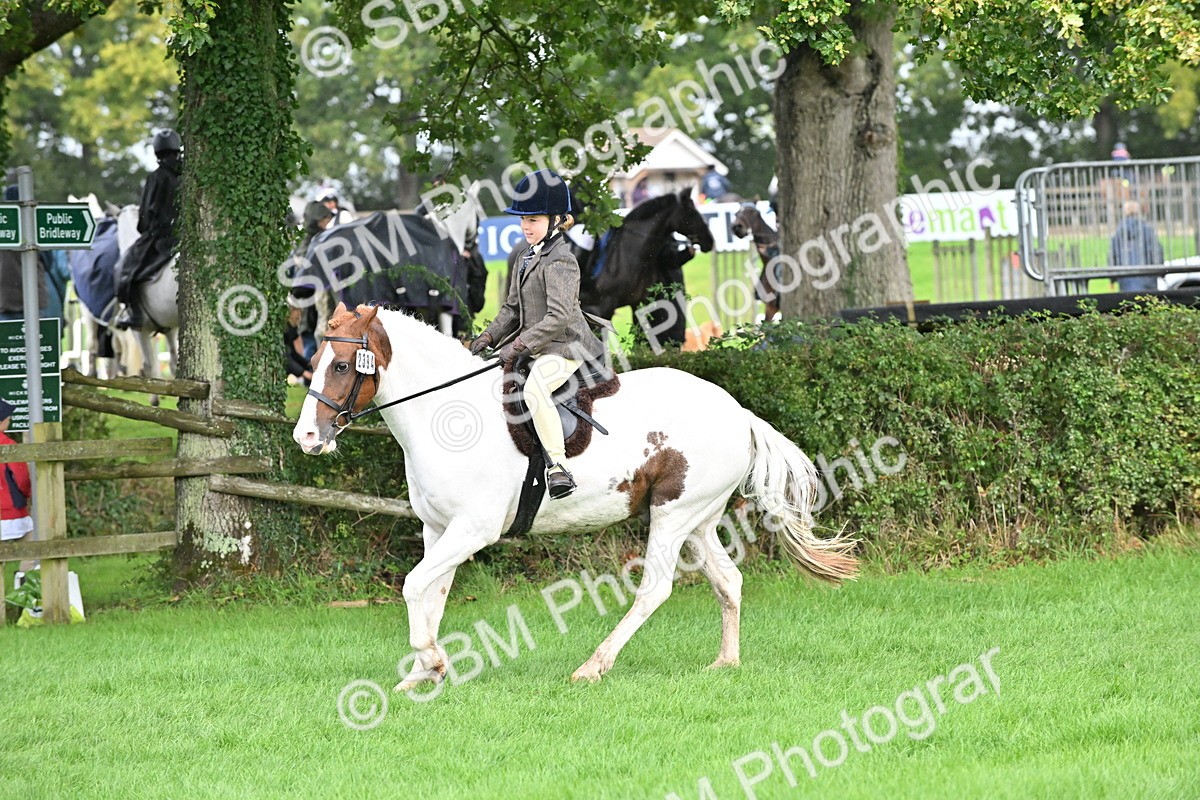 SBM_43047 - S12 - Family Horse & Pony