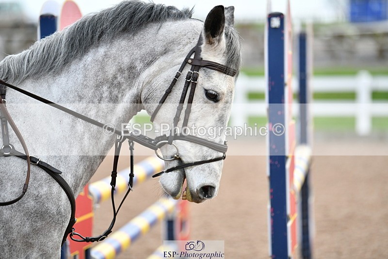 240124A-101113-00041 - Cls 1 British Novice & 90cm Open