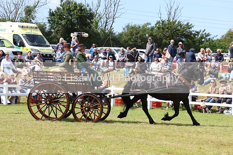 3E7A2832 - Class 12: Open Driving