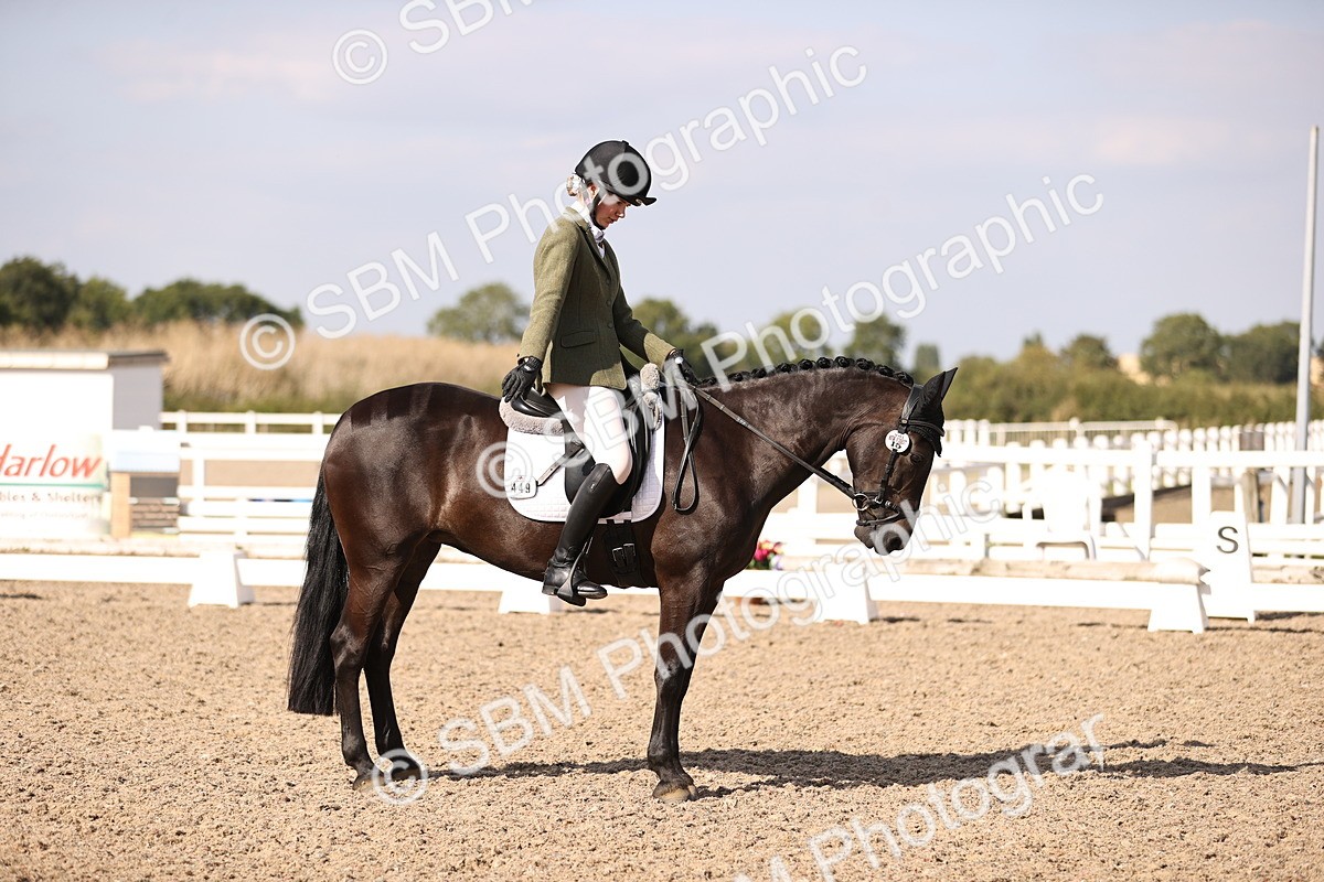 SBM_08008 - Class 38 - Elementary 5