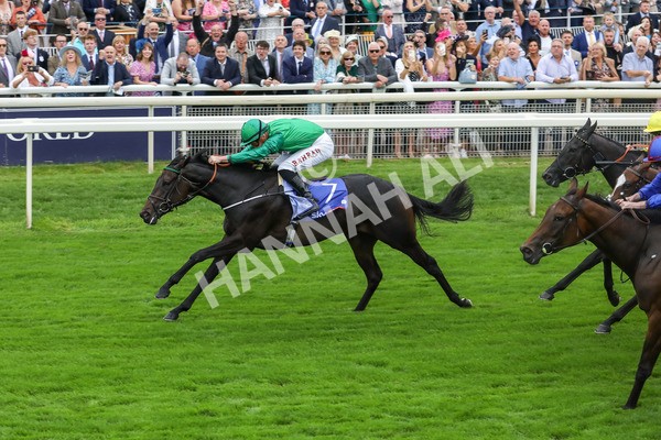 240823-Race 1-Relief Rally-5030 - Race 1 1.50pm Sky Bet Lowther Stakes