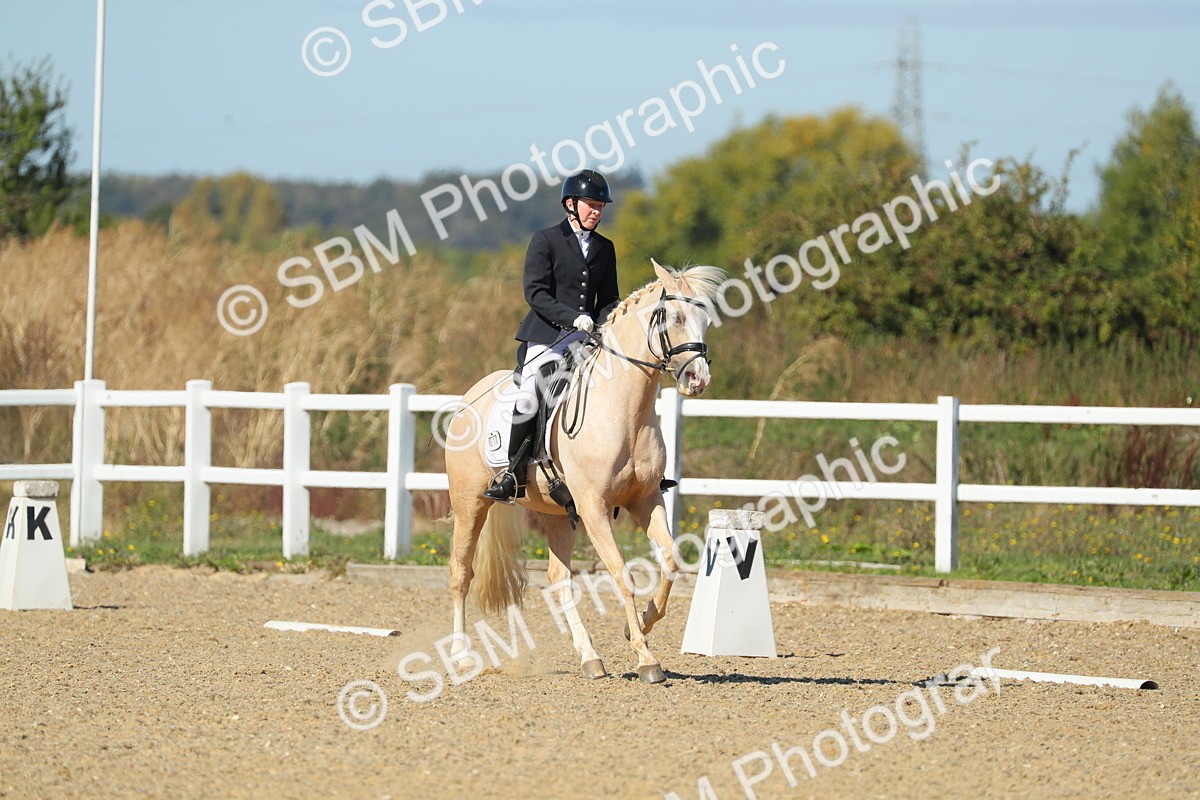 SBM_001557 - Class 7 - E4