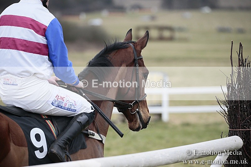 PtP 180218 353 - Combined Services Point-to-Point Larkhill 18/02/18