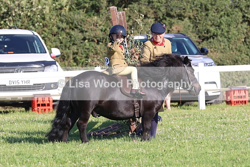 JPP_0819 - Class 16: Cornish Combination Leading Rein