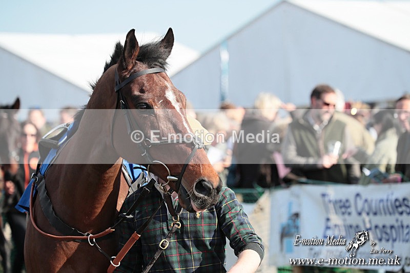 PtP 010325 366 - Beaufort Races Didmarton 01/03/25