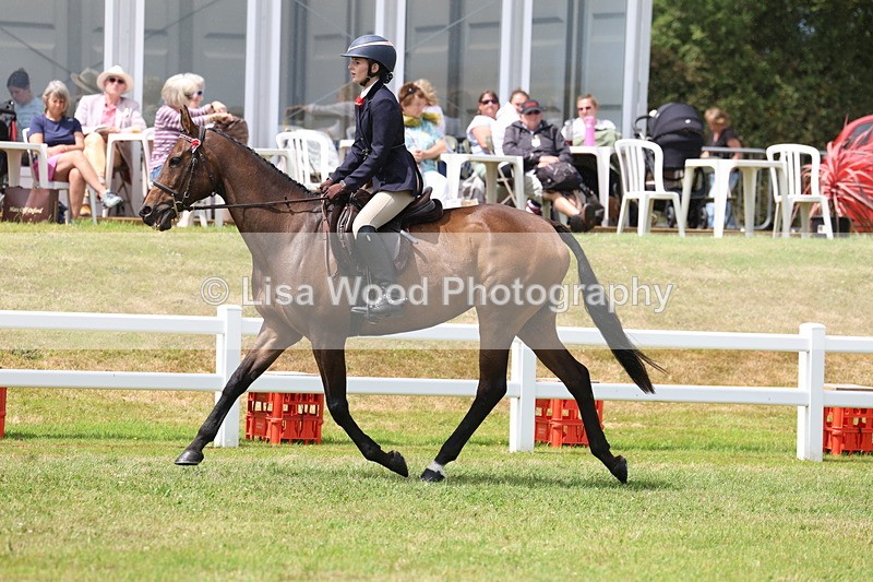 3E7A2364 - Class 11: Retraining of Racehorse