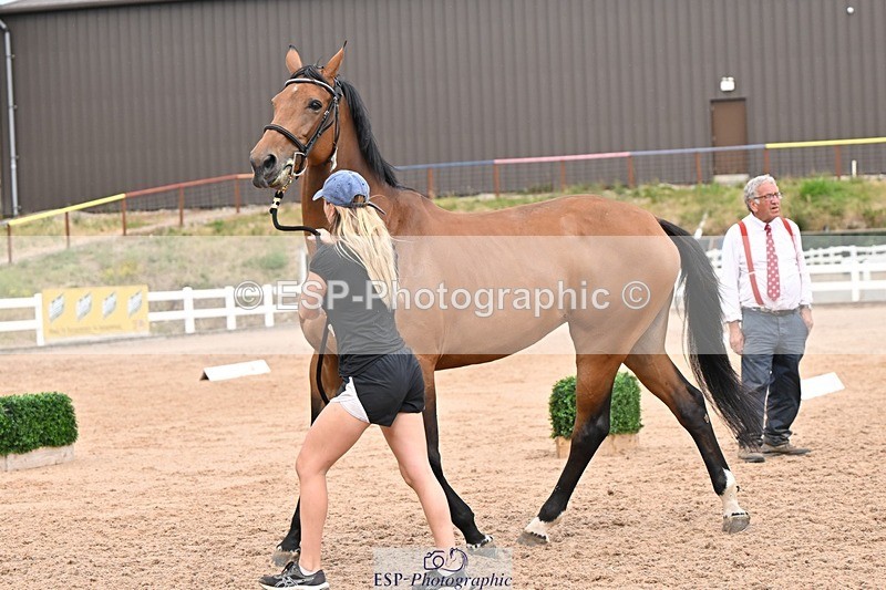 250716-161553-02535 - Trot Up 3.30 to 4.30