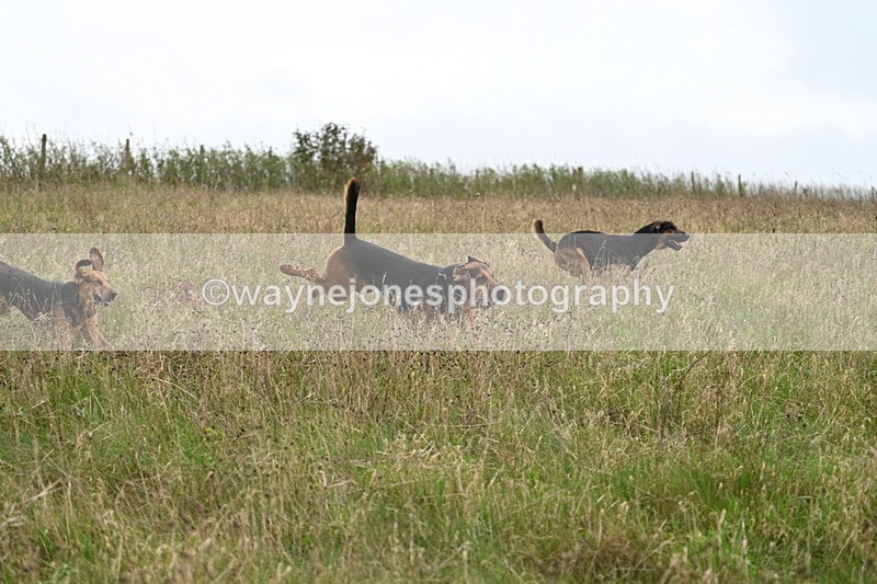WJ7_9831 - Camera 1 & Last fence
